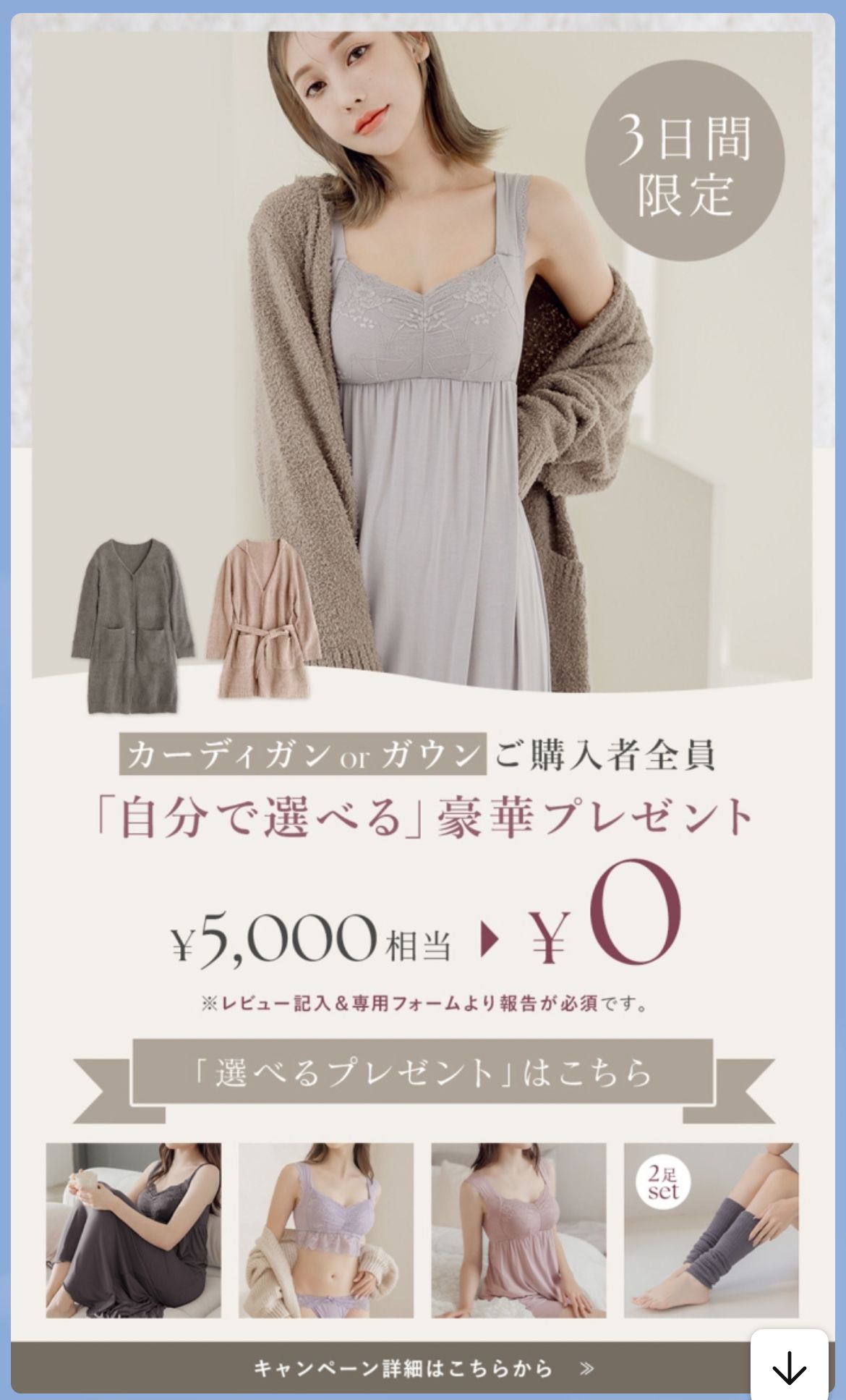 選べるプレゼントの参考画像